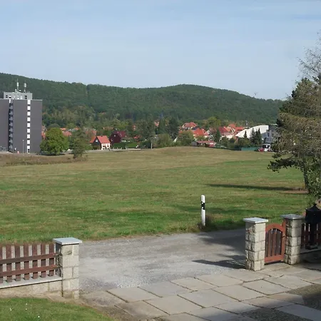 Eichhoernchen Wernigerode