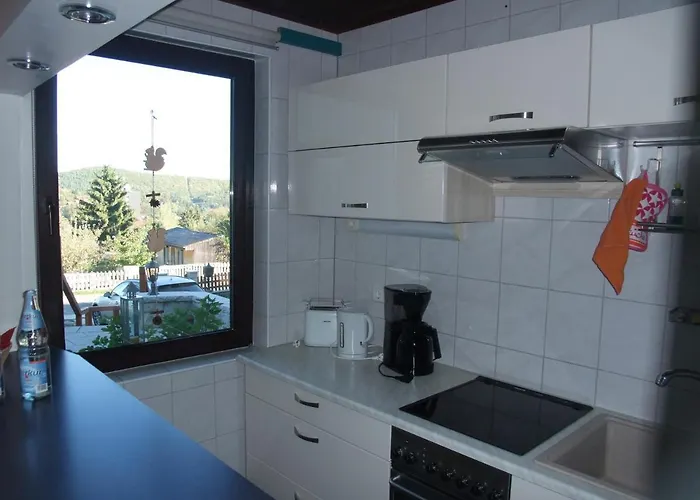 Eichhoernchen * ורניגרוד