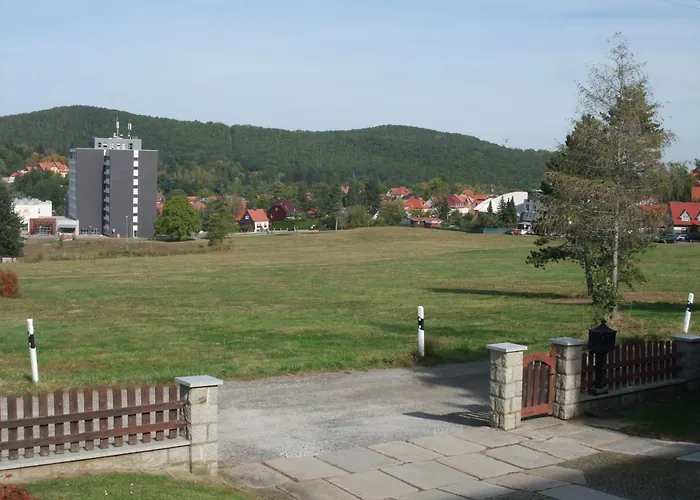 Eichhoernchen ורניגרוד